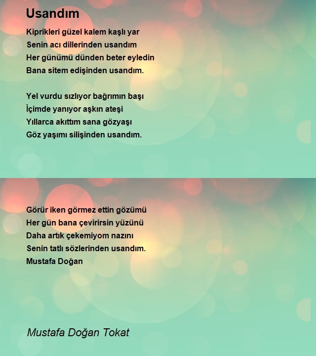 Mustafa Doğan Tokat