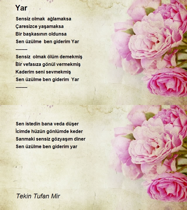 Tekin Tufan Mir