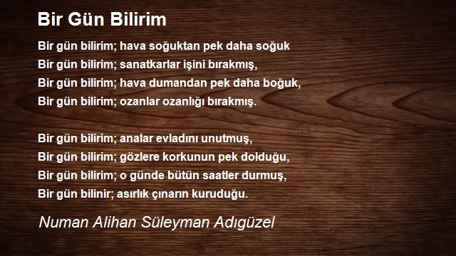 Numan Alihan Süleyman Adıgüzel