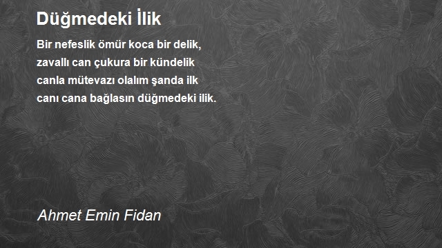 Ahmet Emin Fidan