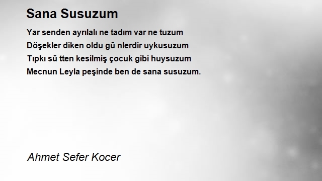 Ahmet Sefer Kocer