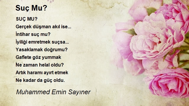 Muhammed Emin Sayıner