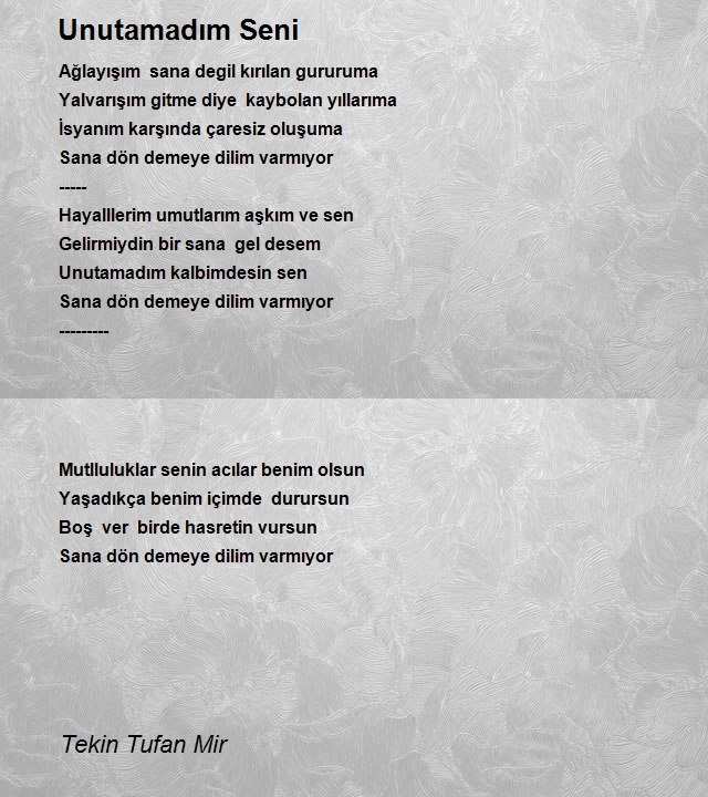 Tekin Tufan Mir