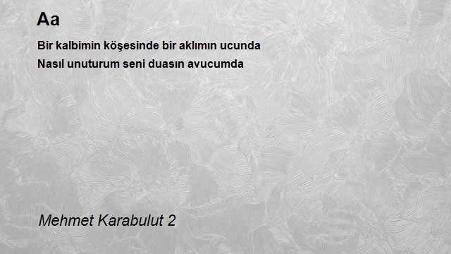 Mehmet Karabulut 2