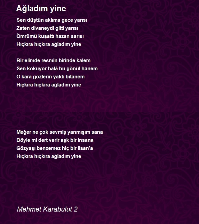 Mehmet Karabulut 2