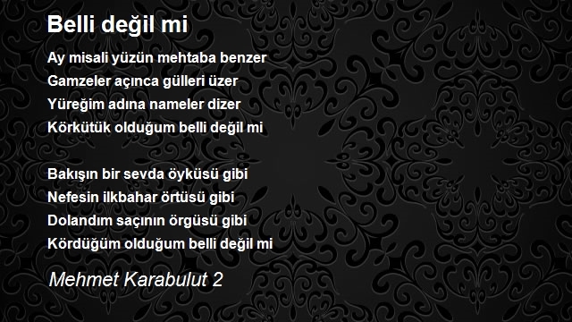 Mehmet Karabulut 2