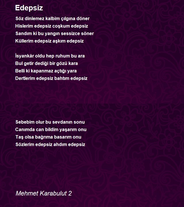 Mehmet Karabulut 2