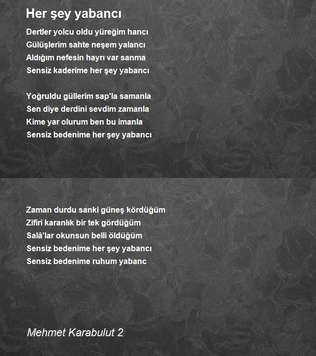 Mehmet Karabulut 2