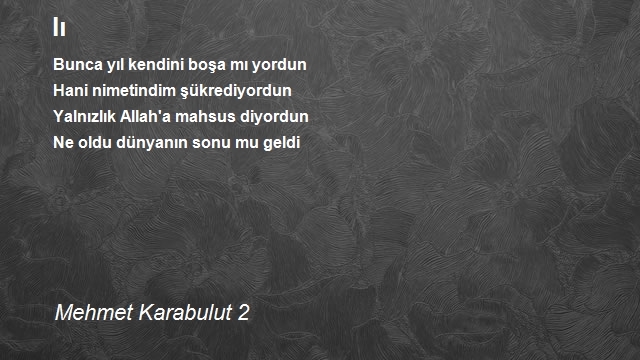 Mehmet Karabulut 2