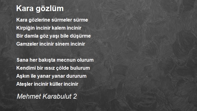 Mehmet Karabulut 2