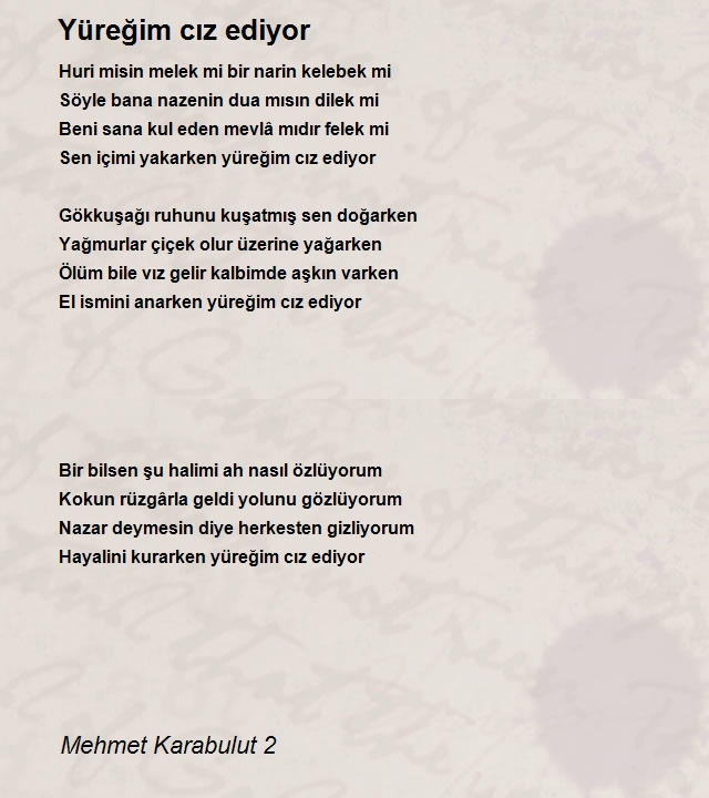 Mehmet Karabulut 2