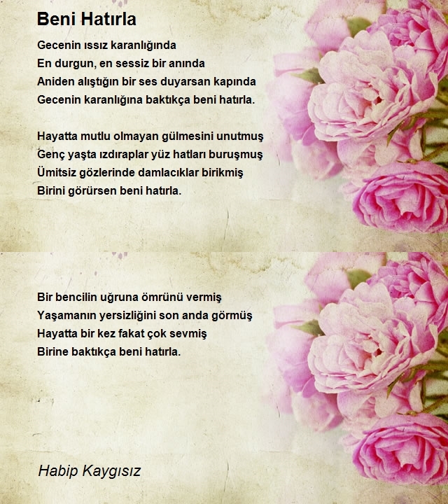 Habip Kaygısız