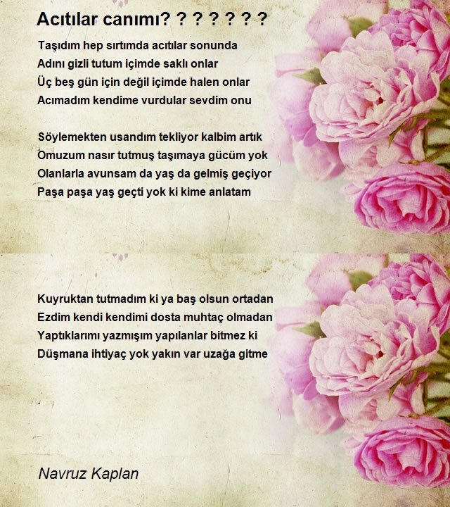 Navruz Kaplan