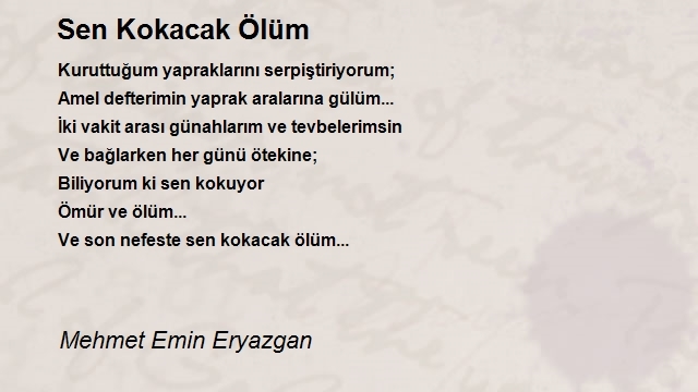 Mehmet Emin Eryazgan