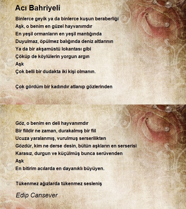 Edip Cansever