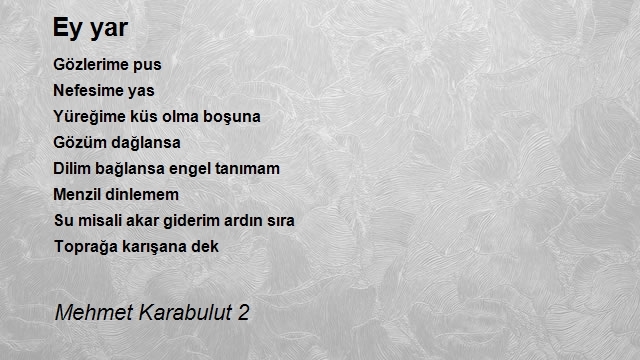 Mehmet Karabulut 2