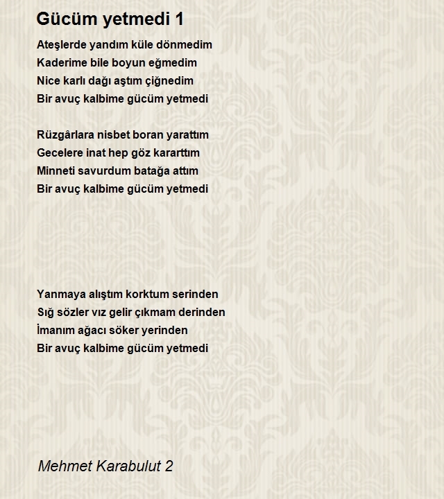 Mehmet Karabulut 2