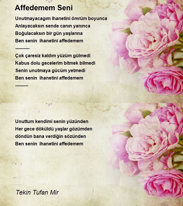 Tekin Tufan Mir