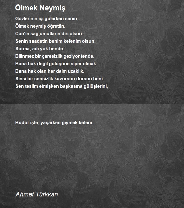 Ahmet Türkkan