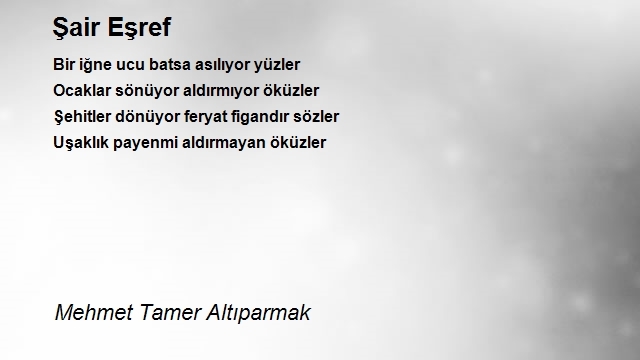 Mehmet Tamer Altıparmak