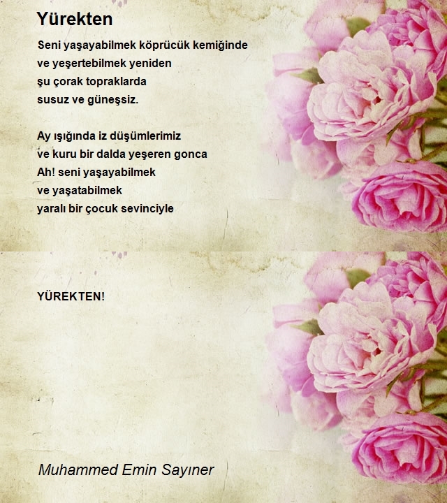 Muhammed Emin Sayıner