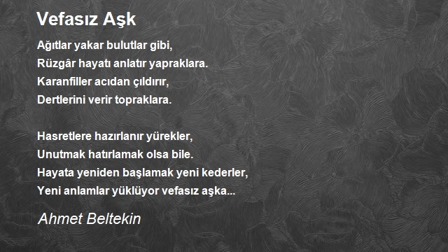 Ahmet Beltekin