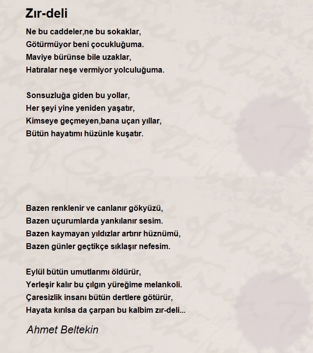 Ahmet Beltekin