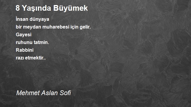 Mehmet Aslan Sofi