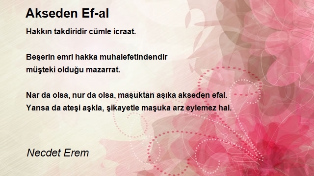 Necdet Erem