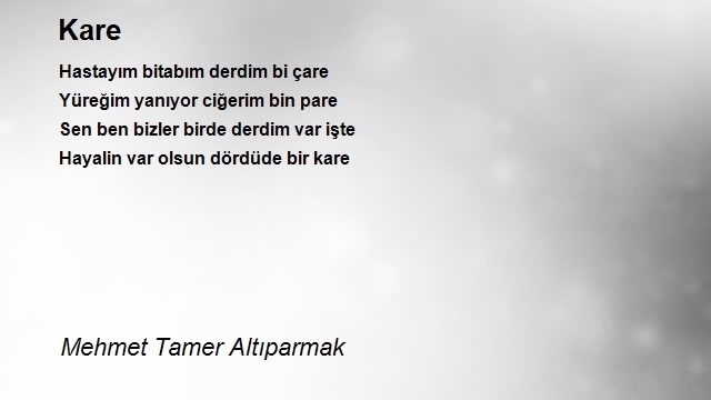 Mehmet Tamer Altıparmak