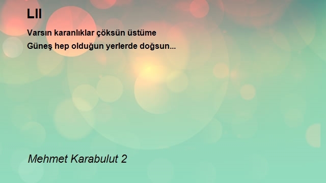 Mehmet Karabulut 2