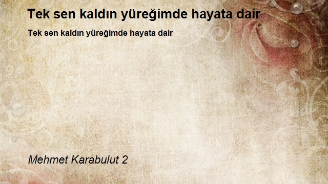 Mehmet Karabulut 2