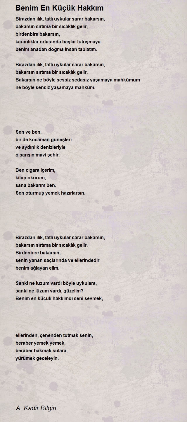 A. Kadir Bilgin