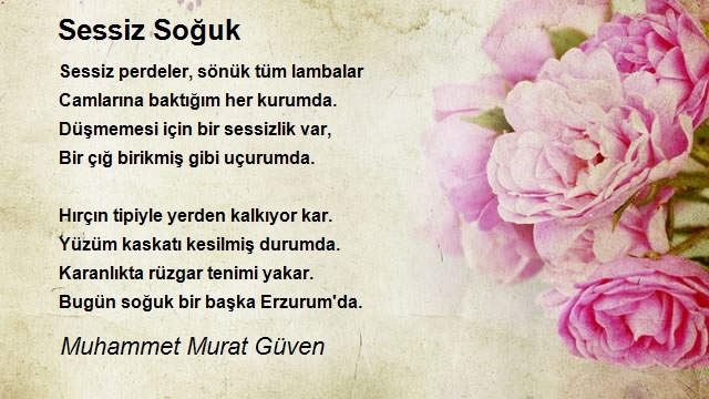 Muhammet Murat Güven