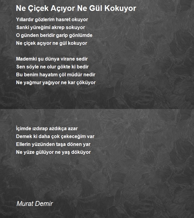 Murat Demir