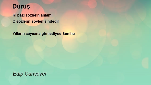 Edip Cansever