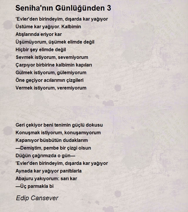 Edip Cansever