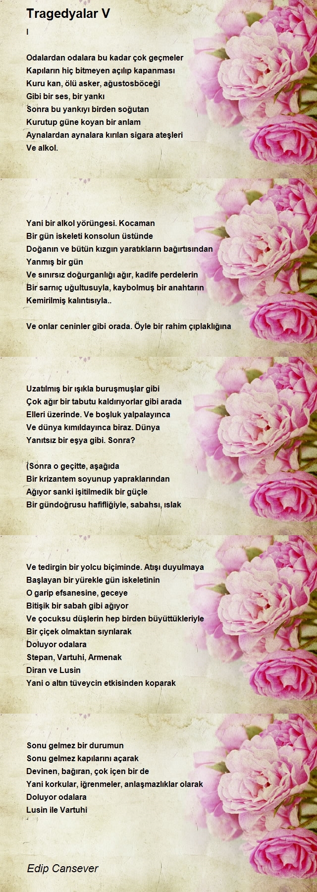 Edip Cansever