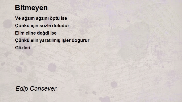 Edip Cansever