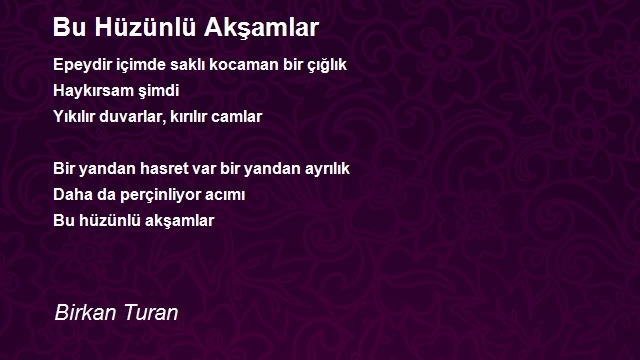 Birkan Turan