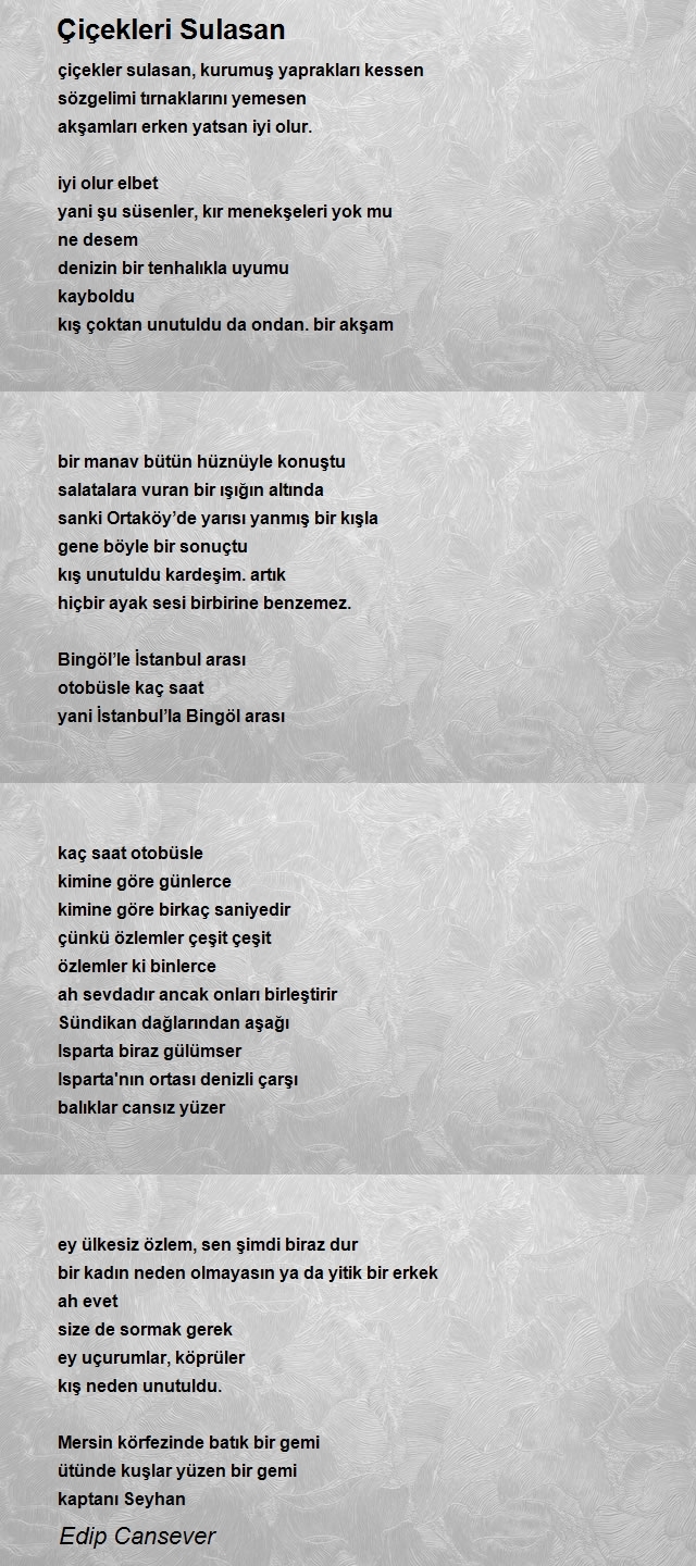 Edip Cansever