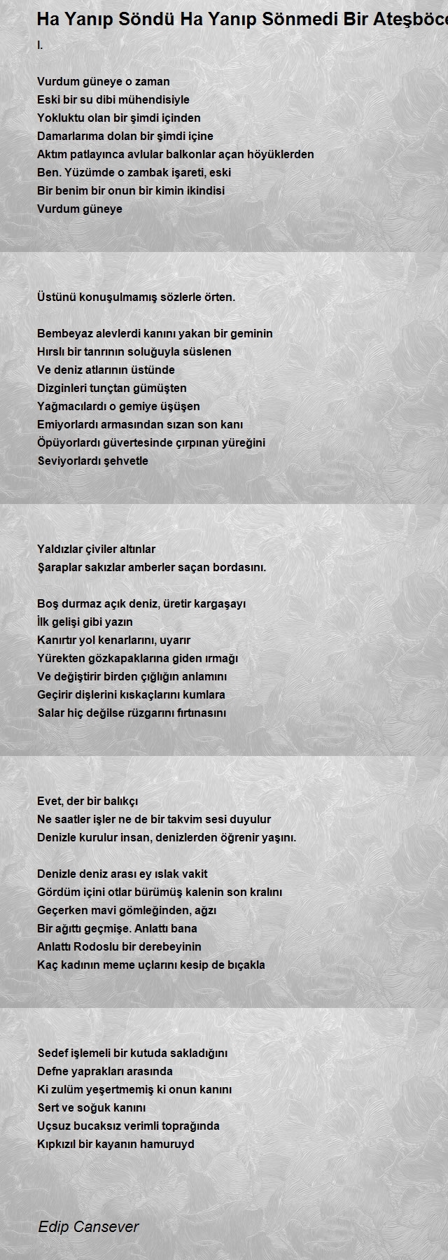 Edip Cansever