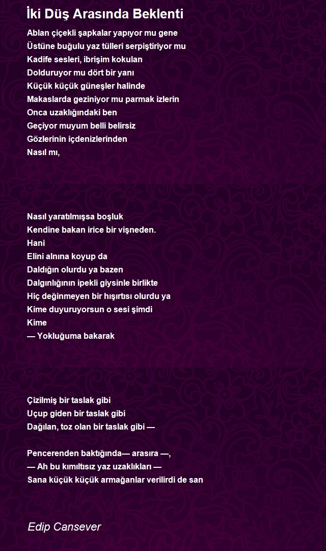 Edip Cansever