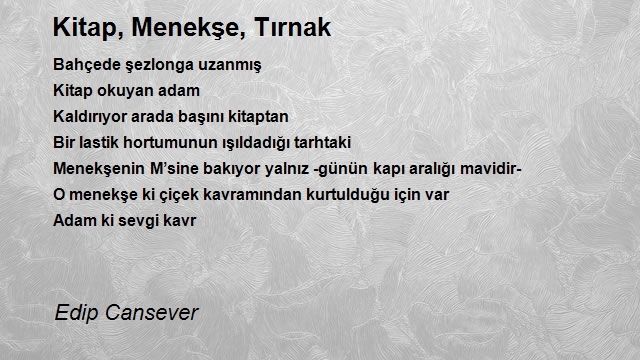 Edip Cansever