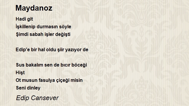 Edip Cansever