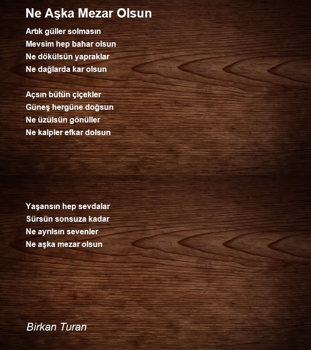 Birkan Turan