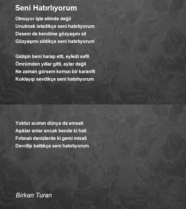 Birkan Turan