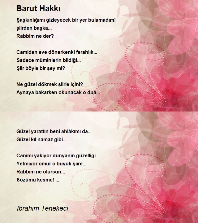 İbrahim Tenekeci