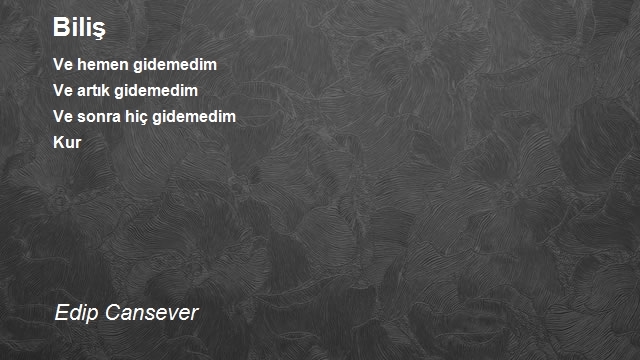 Edip Cansever