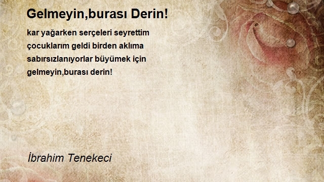 İbrahim Tenekeci